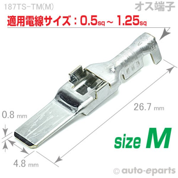 画像1: 187型TS・DL(共用)/オス端子sizeM (1)